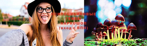 амф Ростов