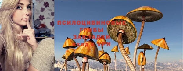 соль курить ск Россошь
