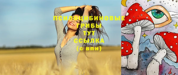 MDMA Premium VHQ Рославль